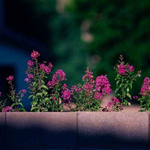 دانلود اهنگ تو دیگه برام بی ارزشی میخوام همه اینو بدونن